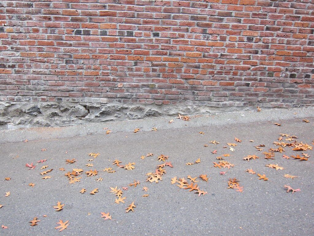 Leaves on pavement by a brick wall.
