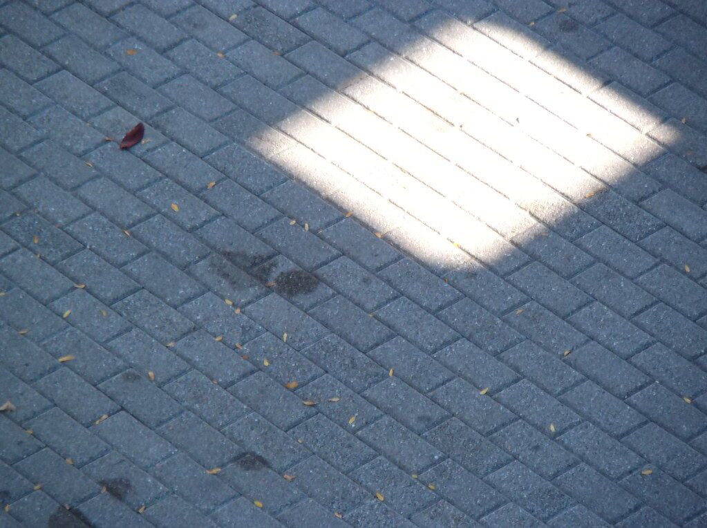 A patch of light on pavers: a bright shape on blue-grey.