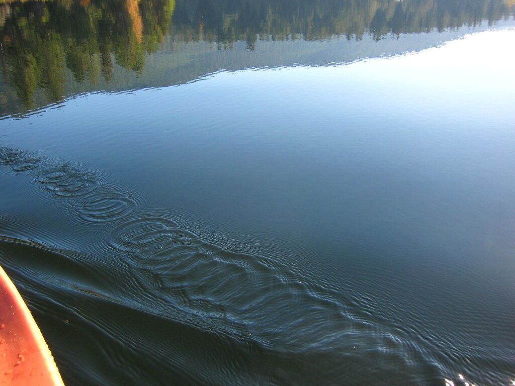 Still water with a faint wake.