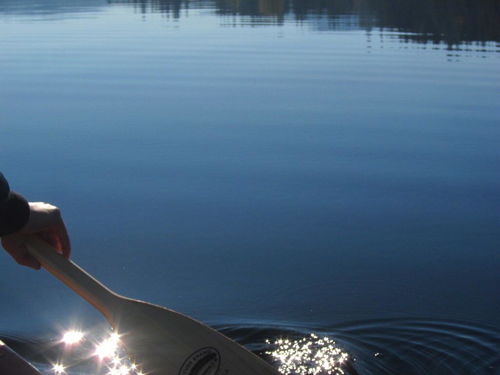 Sun sparkling on water around a hand.